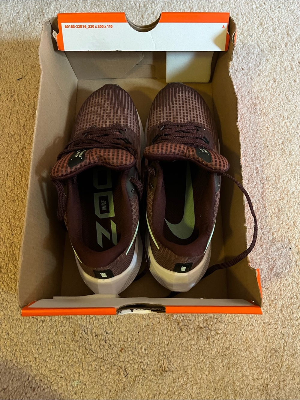 Women’s Nike Air Zoom Pegasus 39